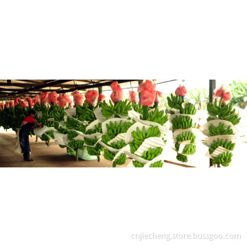 EPE Banana Tube Foam Machine